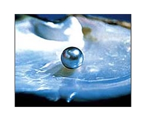 Mother of pearl tells a tale of ocean temperature and depth