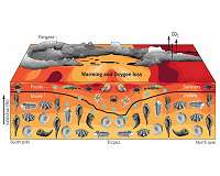 Biggest mass extinction caused by global warming leaving ocean animals gasping for breath