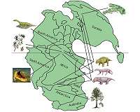 How much can 252-million-year-old ecosystems tell us about modern Earth? A lot