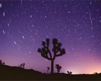 Analysis: Warming could devastate parks