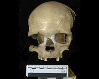 Migration back to Africa took place during the Paleolithic