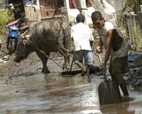 Tropical Storm Linfa brings floods to northern Philippines