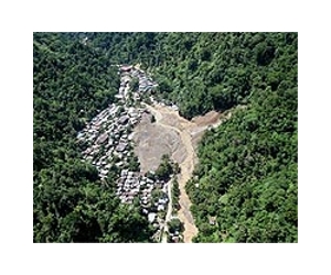 Toll in Philippine landslide rises to 31