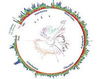 New tool reveals role of ancestry in soil communities of bacteria