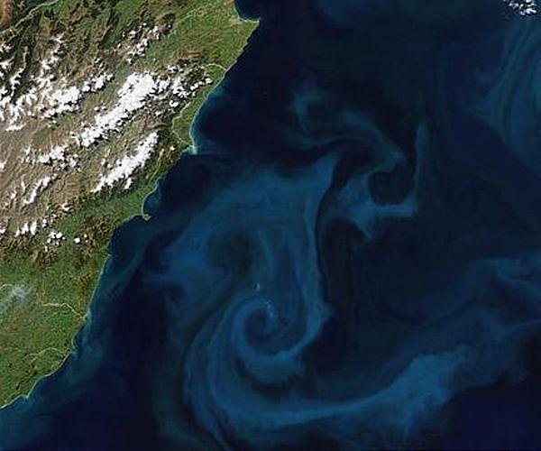Australian wildfires triggered giant algal blooms thousands of miles away