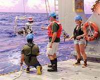 Discovery of parasitic arsenic cycle may offer glimpse of life in future, warmer oceans