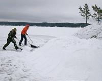 Helping the Saimaa ringed seal adapt to climate change