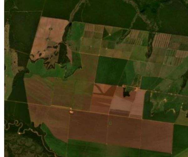 Planet Labs Enhances Agricultural Data with Daily Global PlanetScope Insights