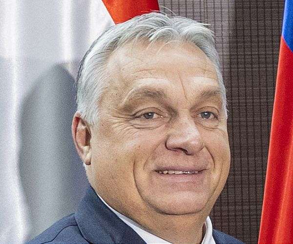 Inspired by 'Trump-tornado', Hungary vows NGO crackdown
