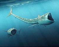 Fossil discovery: Extraordinary 'big-mouthed' fish from Cretaceous Period