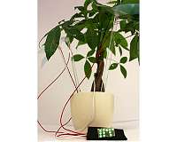 IIT researchers show how plants can generate electricity to power LED light bulbs