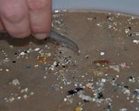 Ocean plastics raise risk of coral reef disease