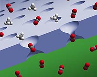 Fantastic Plastic Could Cut CO2 Emissions And Purify Water