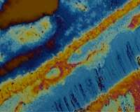 Polymer films pass electron gun test