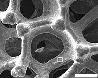 New cheap and efficient electrode for splitting water