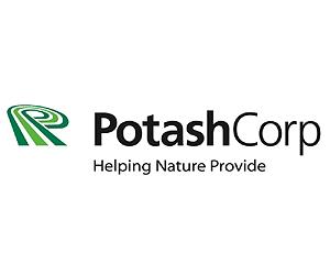 Sinochem struggles to mount rival Potash bid: report