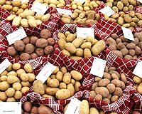 Genetically altered crops grow 'in secret'