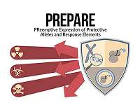 A dose of inner strength to survive and recover from potentially lethal health threats