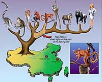 UF Researchers Devise Way To Calculate Rates Of Evolution