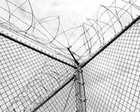 Startup Pigeonly helps digitally deprived behind bars
