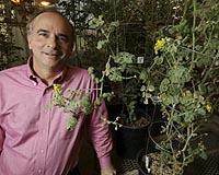 MSU Scientists Speed Up Discovery Of Plant Metabolism Genes