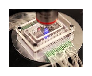 Oscillating microscopic beads could be key to biolab on a chip