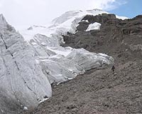 Tiny Life Forms Swiftly Move In As Andean Glacier Retreats