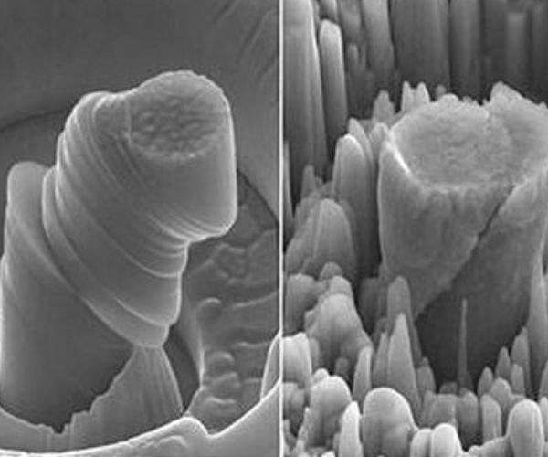 Extreme heat flips strength rules for pure metals