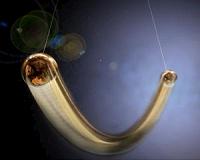 A bit of a 'quantum magic trick'
