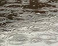 Japan official criticised for piggyback ride over puddle
