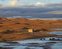 Absence of ants suggests first Saharan farming 10,000 years ago