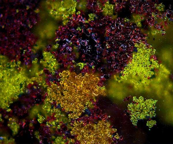 EU moves to break dependence on China for rare earths