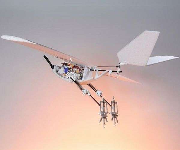 Bird-inspired drone can jump for take-off