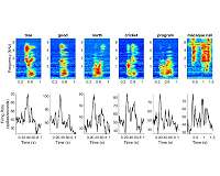 Researchers reconstruct spoken words as processed in nonhuman primate brains