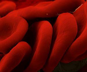 On-Demand Transfusions Could Yield Novel Therapeutics Delivery