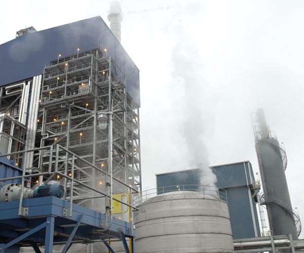 Activists take aim at bank financing Serbia biomass projects