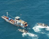 Australian hospital refuses to return asylum baby to Nauru
