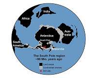 Remains of 90-million-year-old rainforest found near South Pole