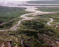 Rapid marsh bank sediment build up does not equate land loss resilience