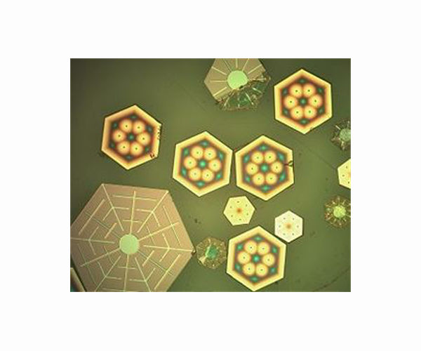 Programmed assembly of wafer-scale atomically thin crystals