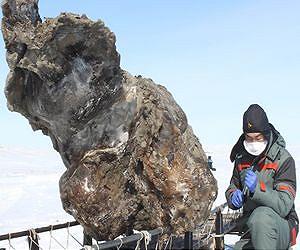 Russian scientists make rare find of 'blood' in mammoth