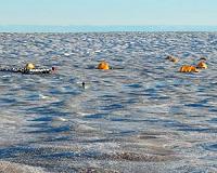 Greenland Ice Sheet's meltwater channels studied