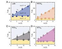Underlying connection found between diverse materials with extreme magnetoresistance