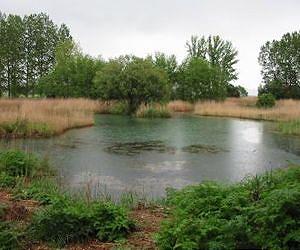 Restored wetlands rarely equal condition of original wetlands