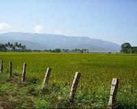 Novel approach allows early forecasting of monsoons