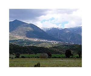 Morocco to harness the wind in energy hunt