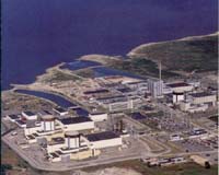 Swedish nuclear reactor shut down
