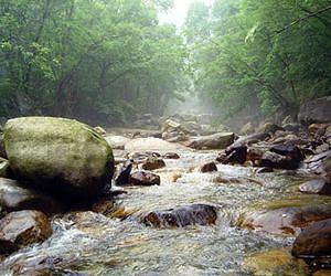 Researchers develop new technique to assess diversity of plant species from afar