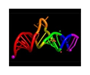 New level of genetic diversity in human RNA sequences uncovered