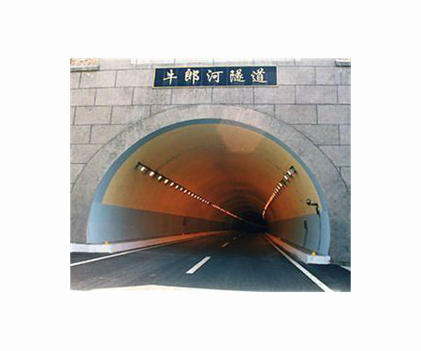 Rescuers draining flooded tunnel in search for trapped Chinese workers